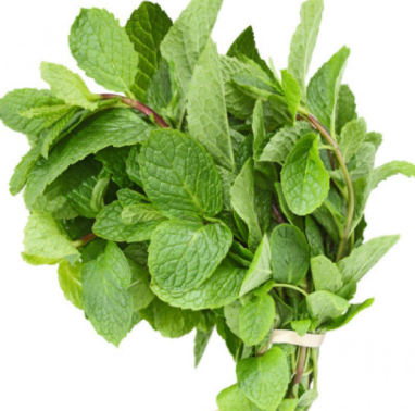 Free Mint